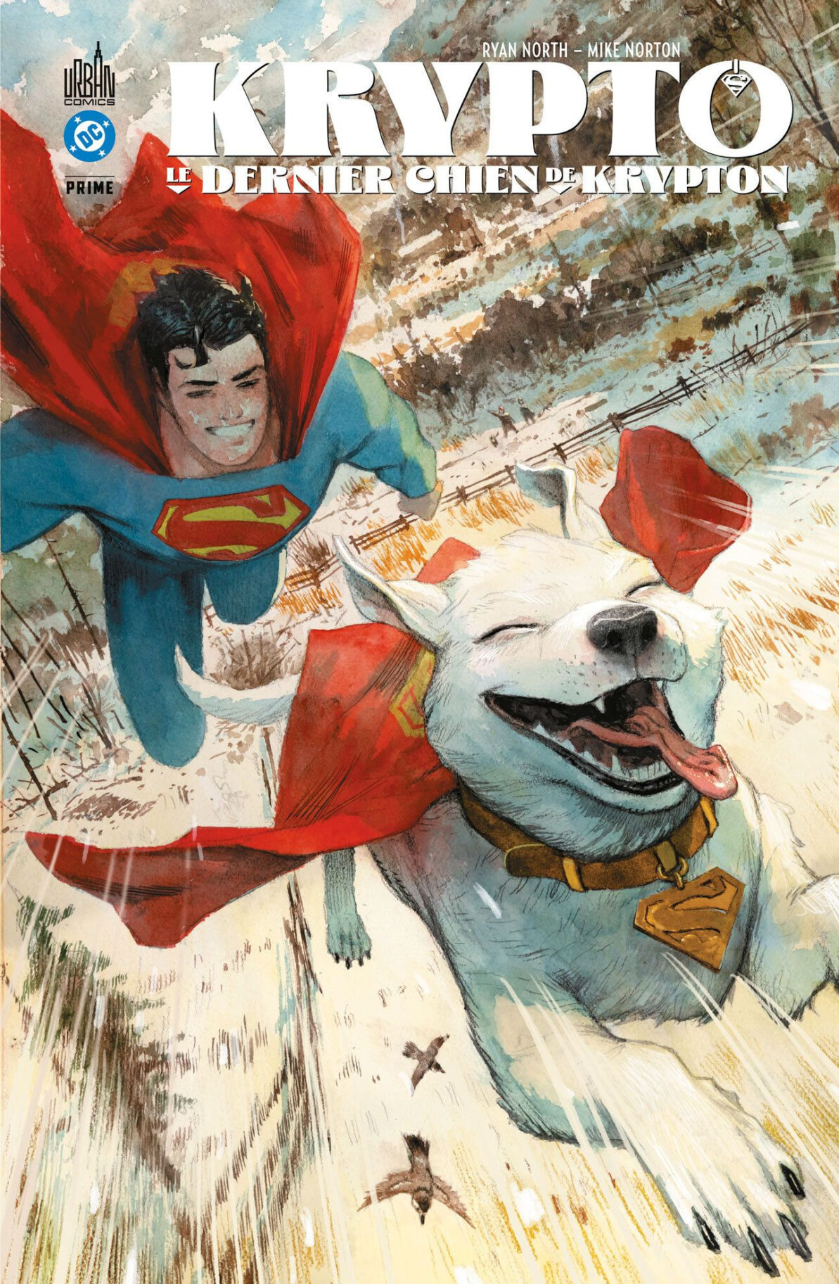KRYPTO - LE DERNIER CHIEN DE KRYPTON
