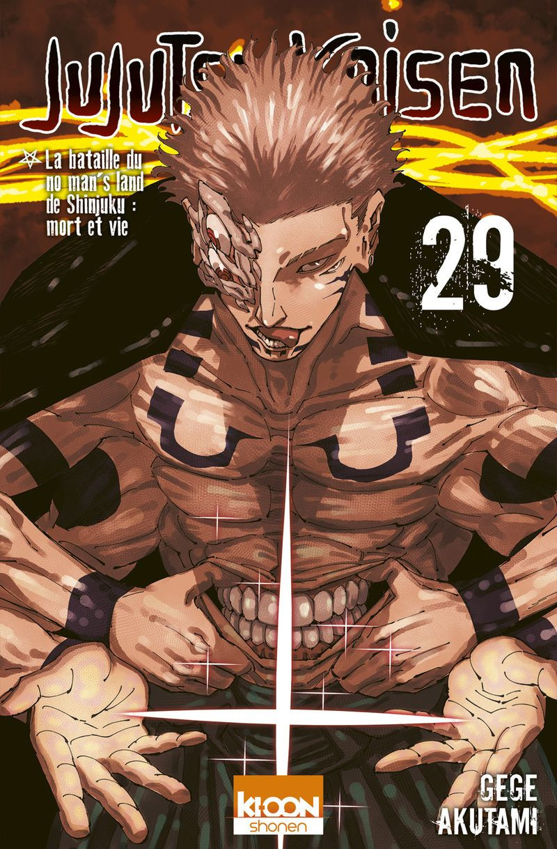 JUJUTSU KAISEN T29 - VOL29