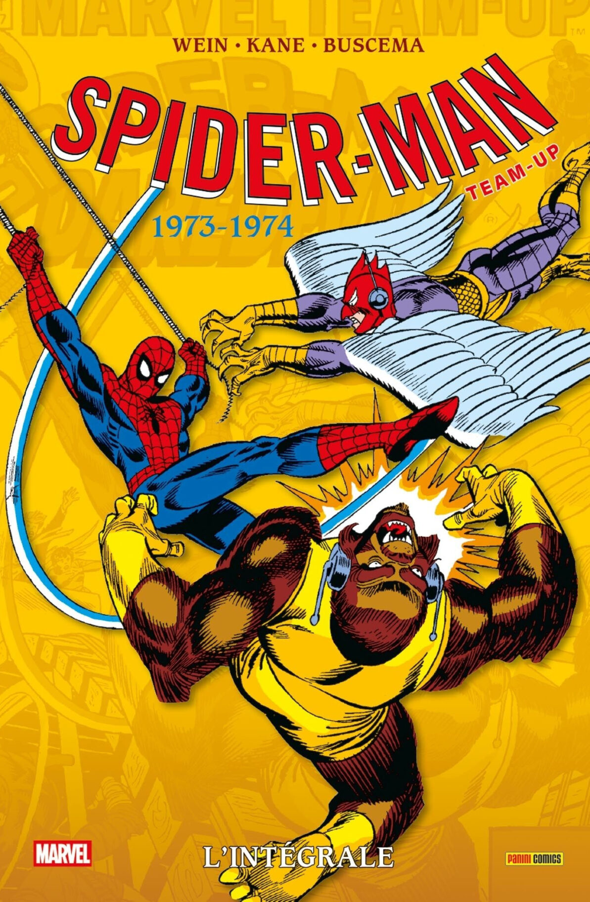 SPIDER-MAN TEAM-UP : L'INTEGRALE 1973-1974 (T24) (NOUVELLE EDITION)